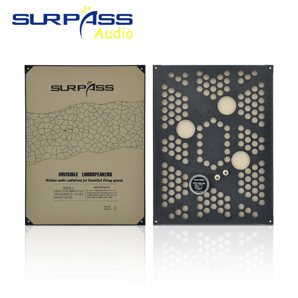 Audio Music Background - Speaker Dalam Ruangan Tak Terlihat 20W