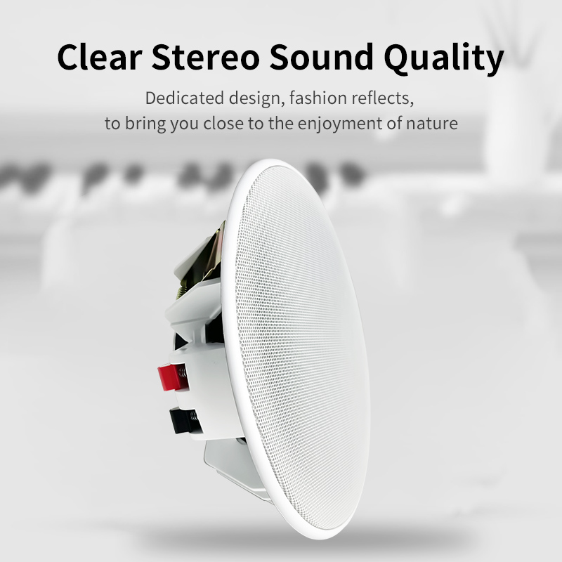 Speaker Plafon 6 Inci 8ohm Sua - Audio Music Background ulasan dan harga