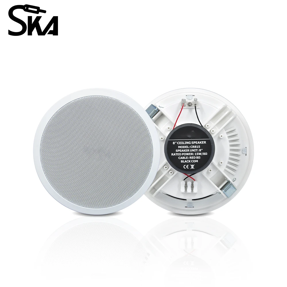 Sistem Audio Rumah Pintar PW44 - Audio Music Background ulasan dan harga