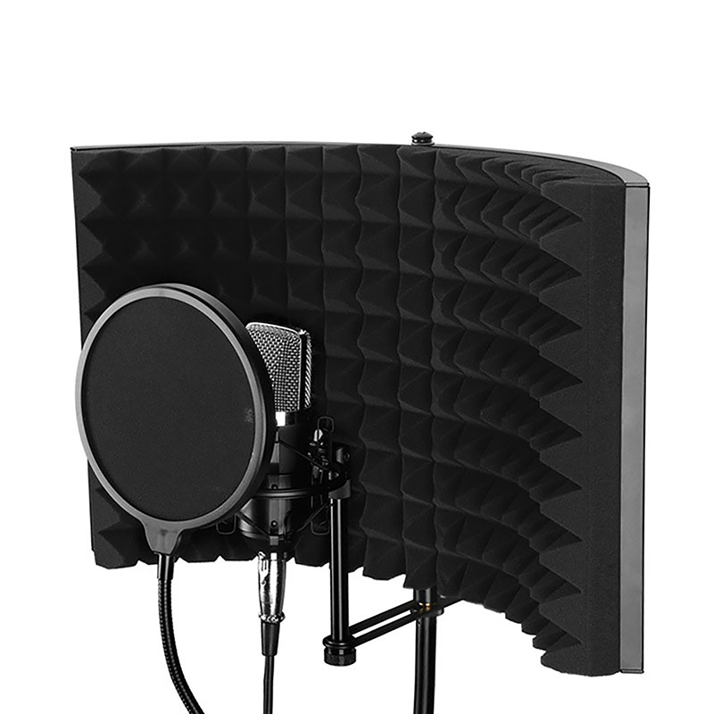 Pelindung Mikrofon untuk Akses - Recording Pop Filter ulasan dan harga