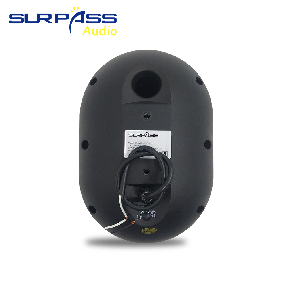 Speaker Dinding 30W Tahan Air  - Audio Music Background ulasan dan harga